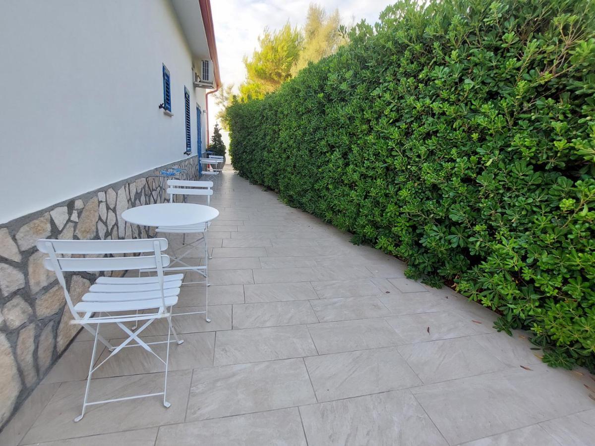 B&B Il Gabbiano Cittadella del Capo Exteriör bild